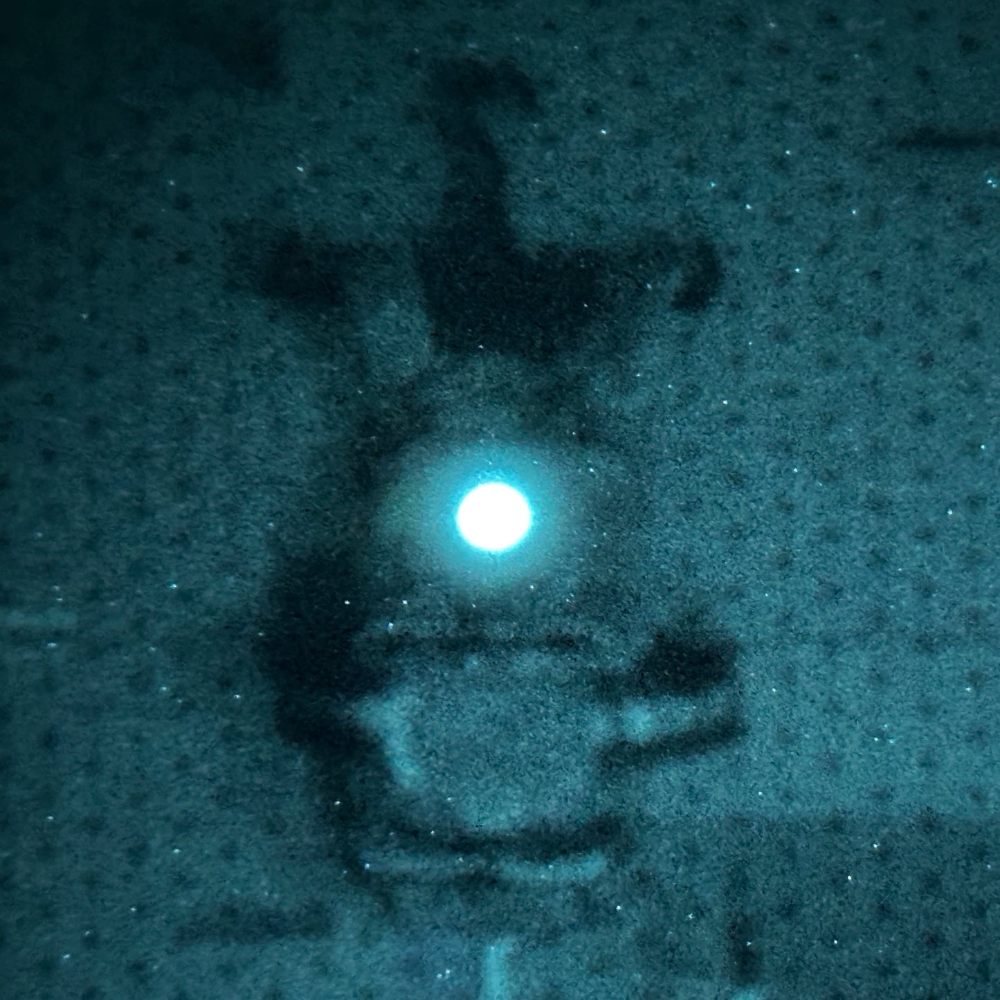 NOX-TAGS™ | Photoluminescent ID Markers (2-Pack)