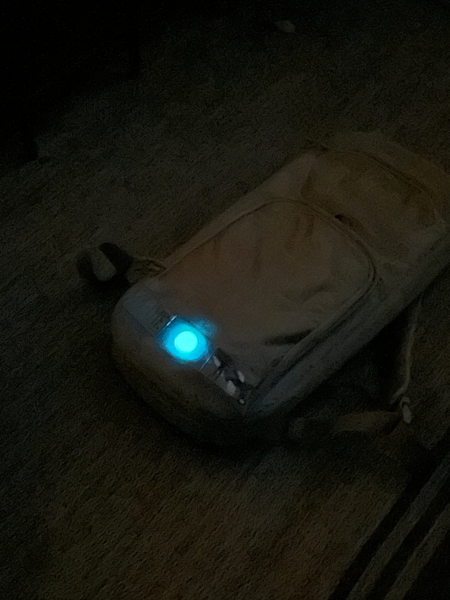 NOX-TAGS™ | Photoluminescent ID Markers (2-Pack)